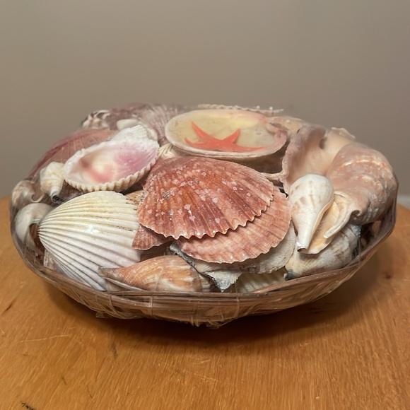 Shell Home Decor - Picture 5 of 9